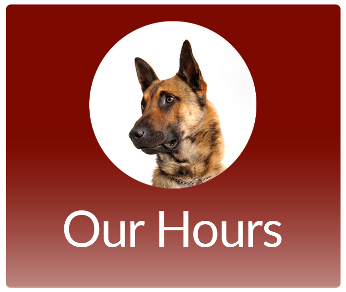 Our Hours