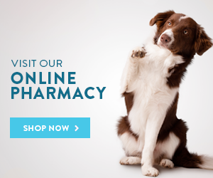 online pharmacy button